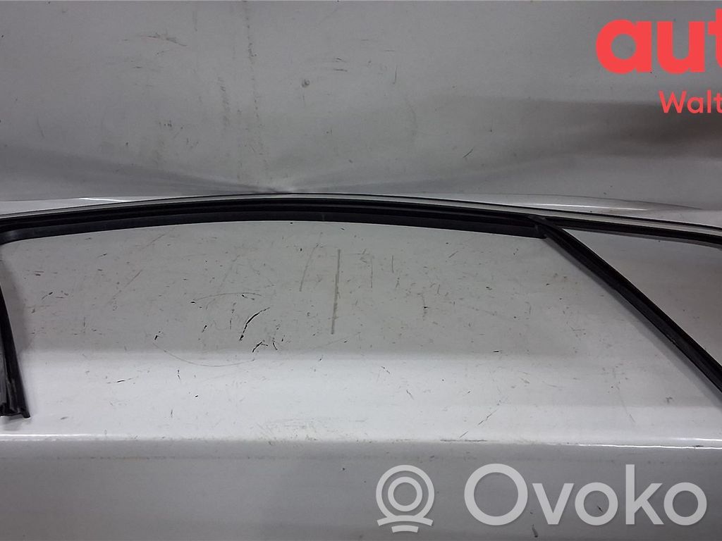 Volkswagen PASSAT B8 Șină geam ușă față 