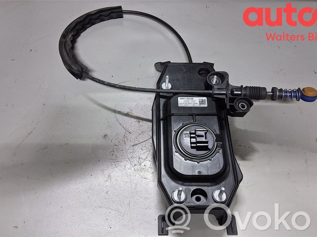 Volkswagen Tiguan Selector de viteze/schimbător de viteze (interior)