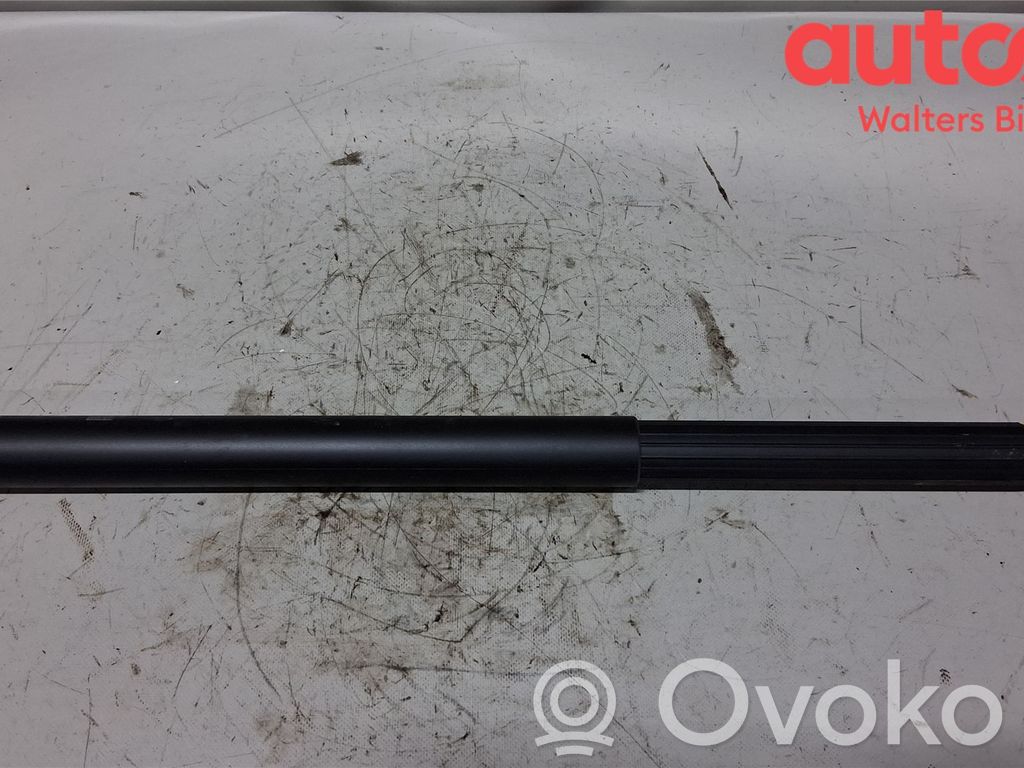 Volkswagen Tiguan Puntone del portellone posteriore