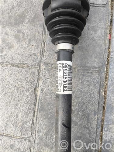 Front driveshaft   9806153080