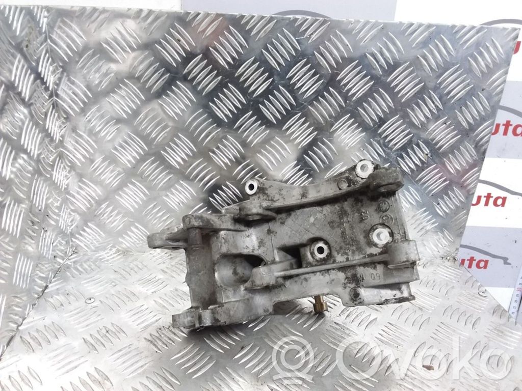 Citroen C5 Generator/alternator bracket 