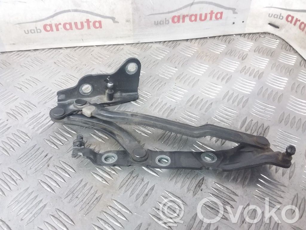 Tailgate/trunk/boot hinge   30716249