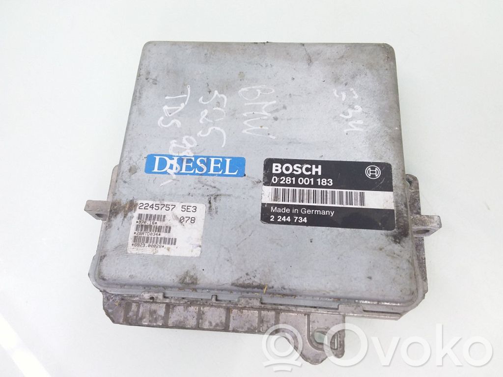 BMW 5 E34 Engine control unit/module 