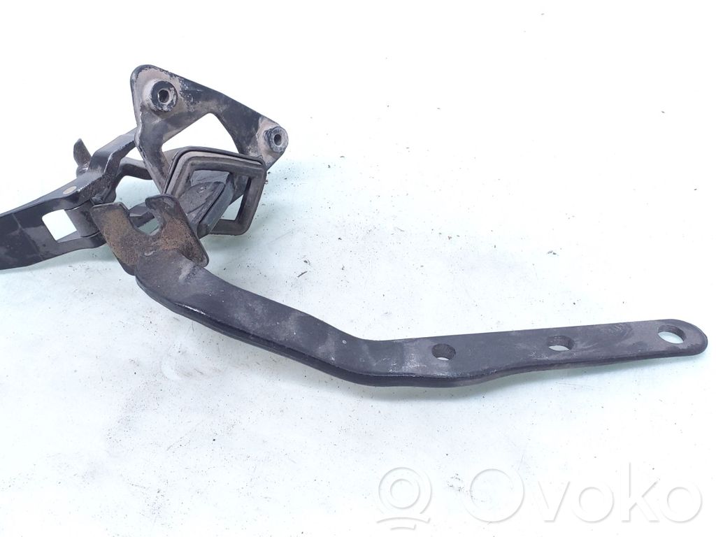 Tailgate/trunk/boot hinge   8643157