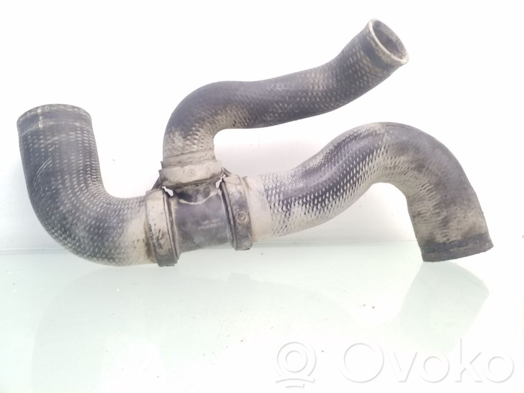 Peugeot 406 Intercooler hose/pipe 