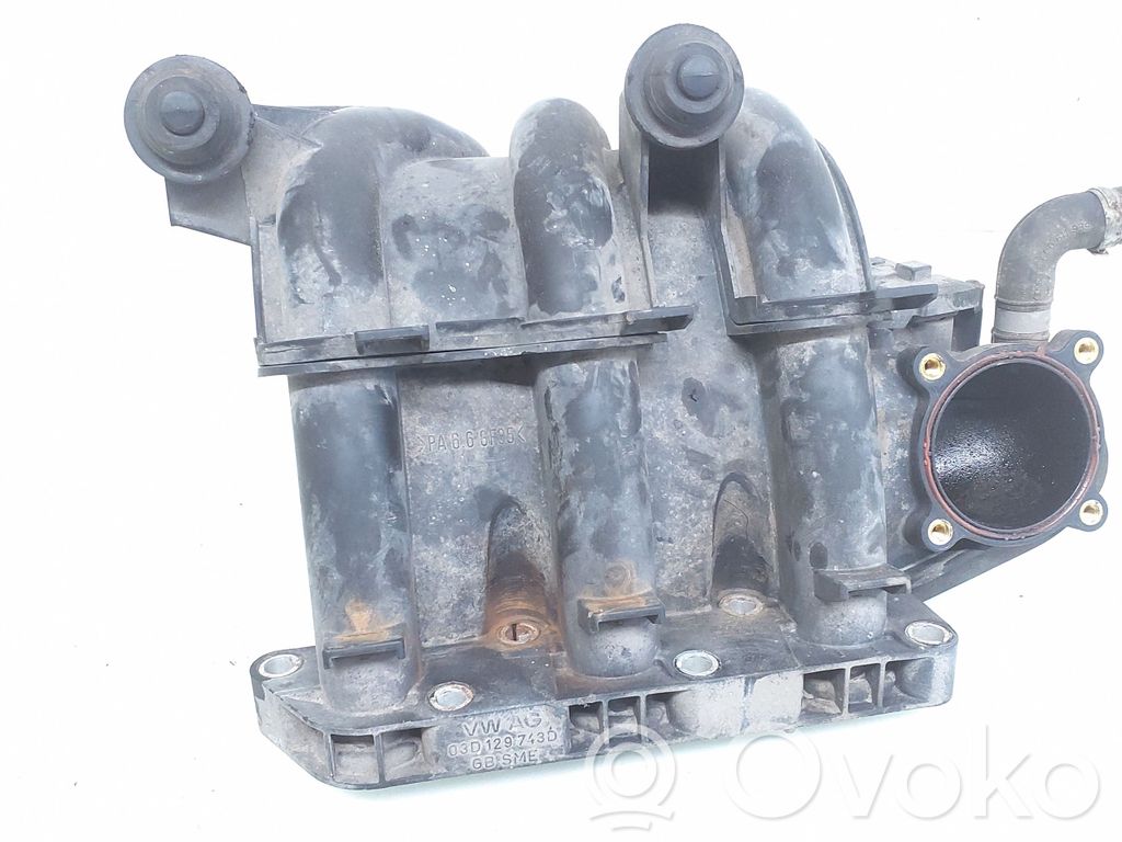 Volkswagen Polo Kolektorius įsiurbimo 