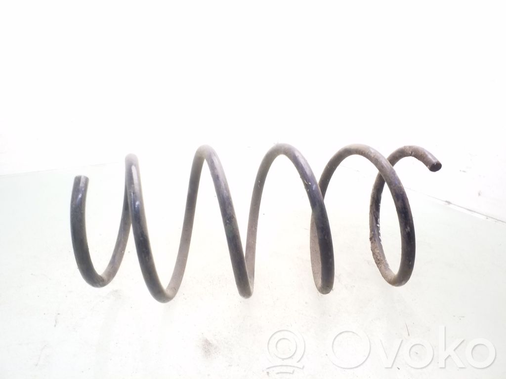 Front coil spring