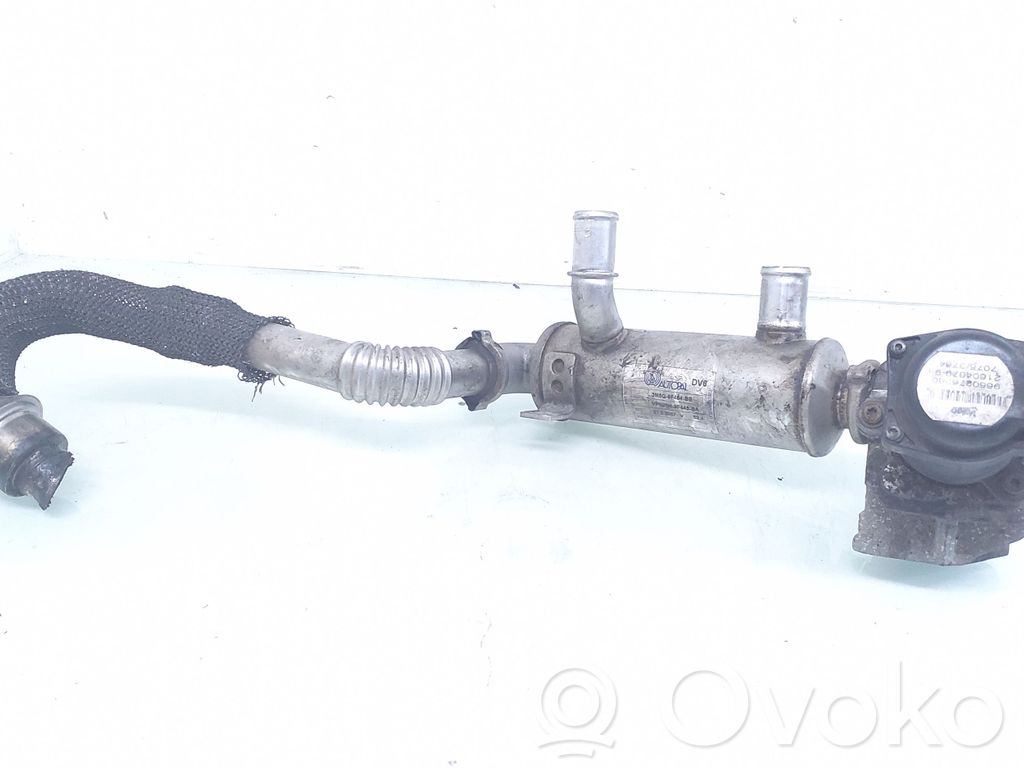 Ford Focus EGR aušintuvas 