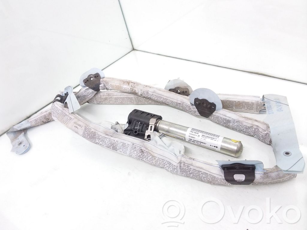 Airbag del techo   4F9880741A