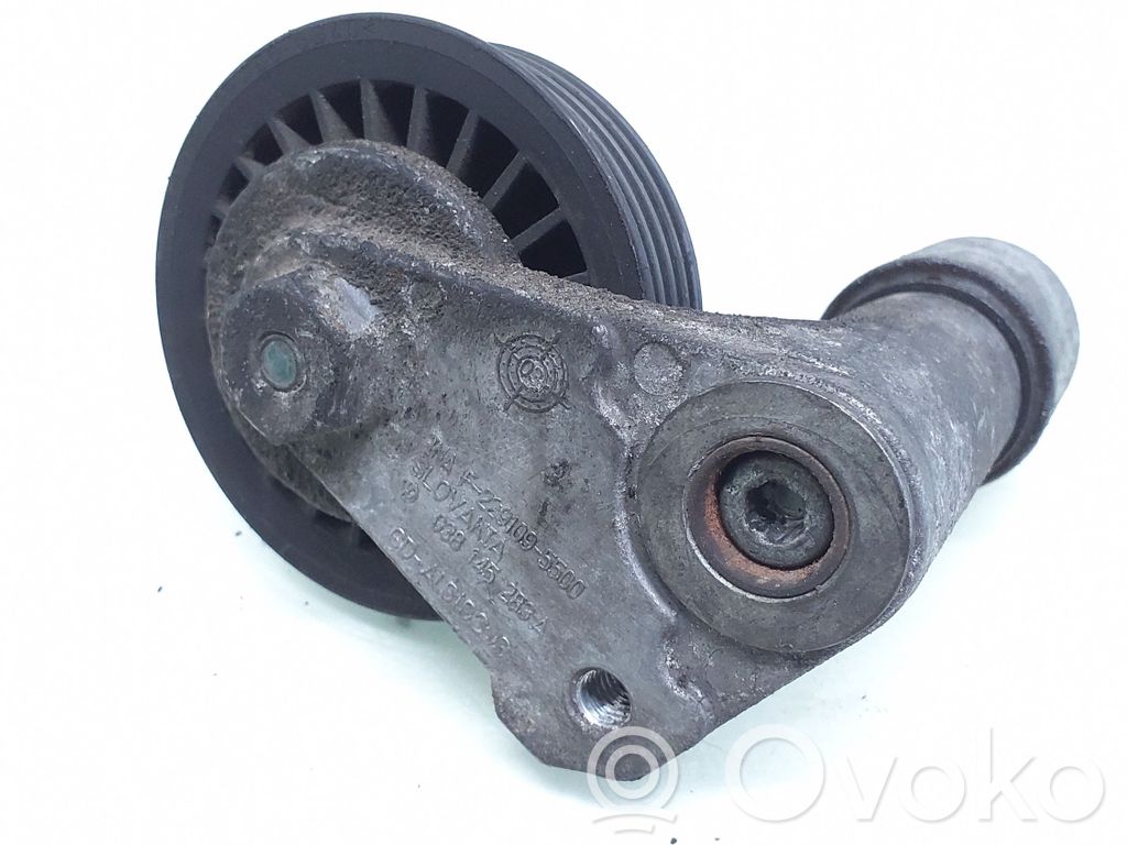 Volkswagen PASSAT B5 Întinzător curea generator/alternator 