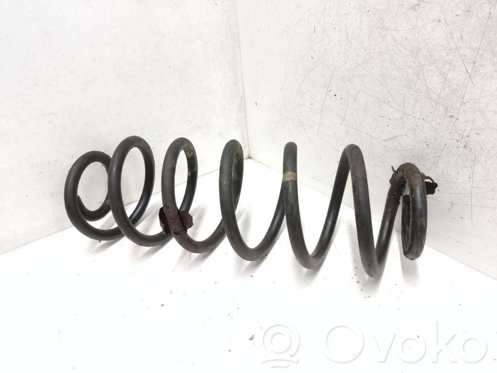 Muelle espiral trasero