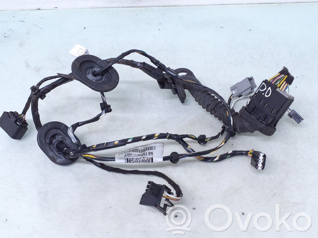 Ford Focus Cableado de puerta delantera 