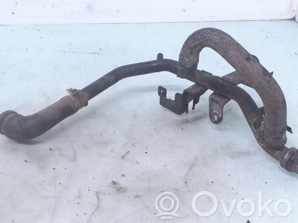Volkswagen PASSAT B5 Conductă/furtun lichid de răcire motor 
