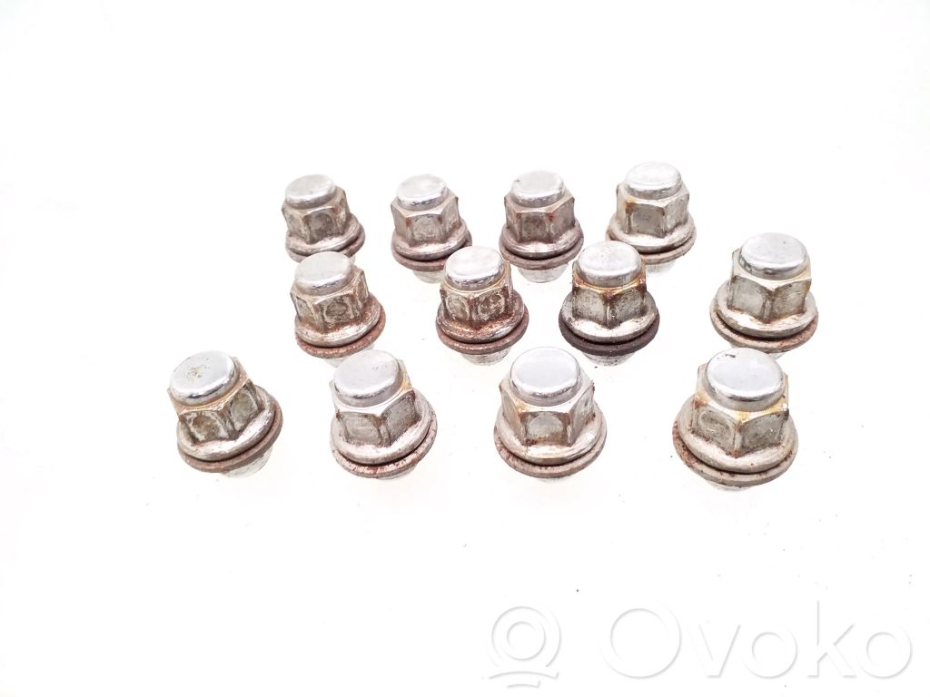 Nuts/bolts