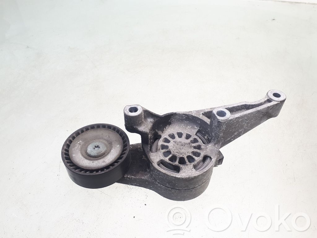 Skoda Octavia Mk2 (1Z) Tendicinghia generatore/alternatore