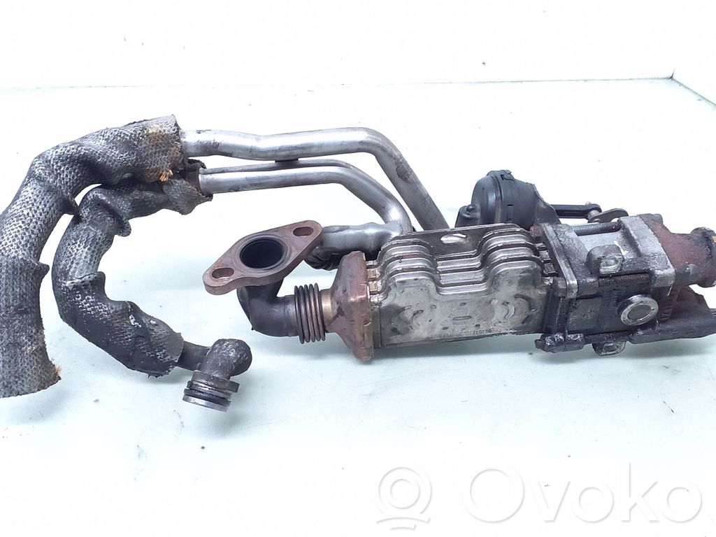 Volkswagen Phaeton Răcitor supapă EGR 