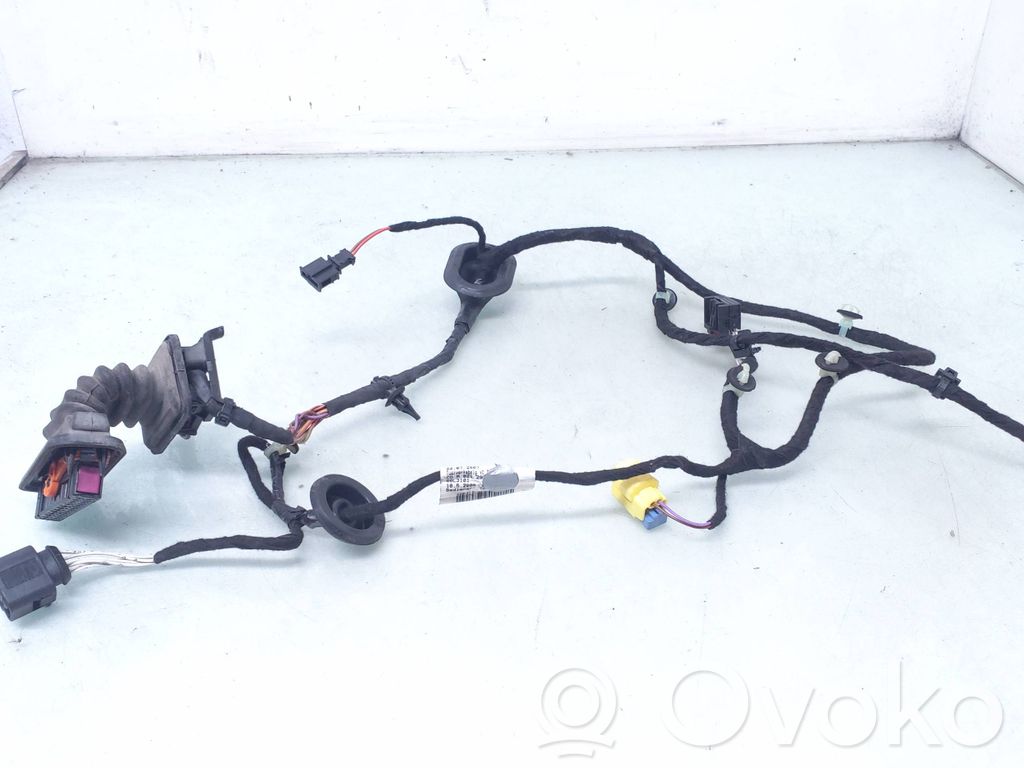 Volkswagen PASSAT B6 Cableado de puerta delantera