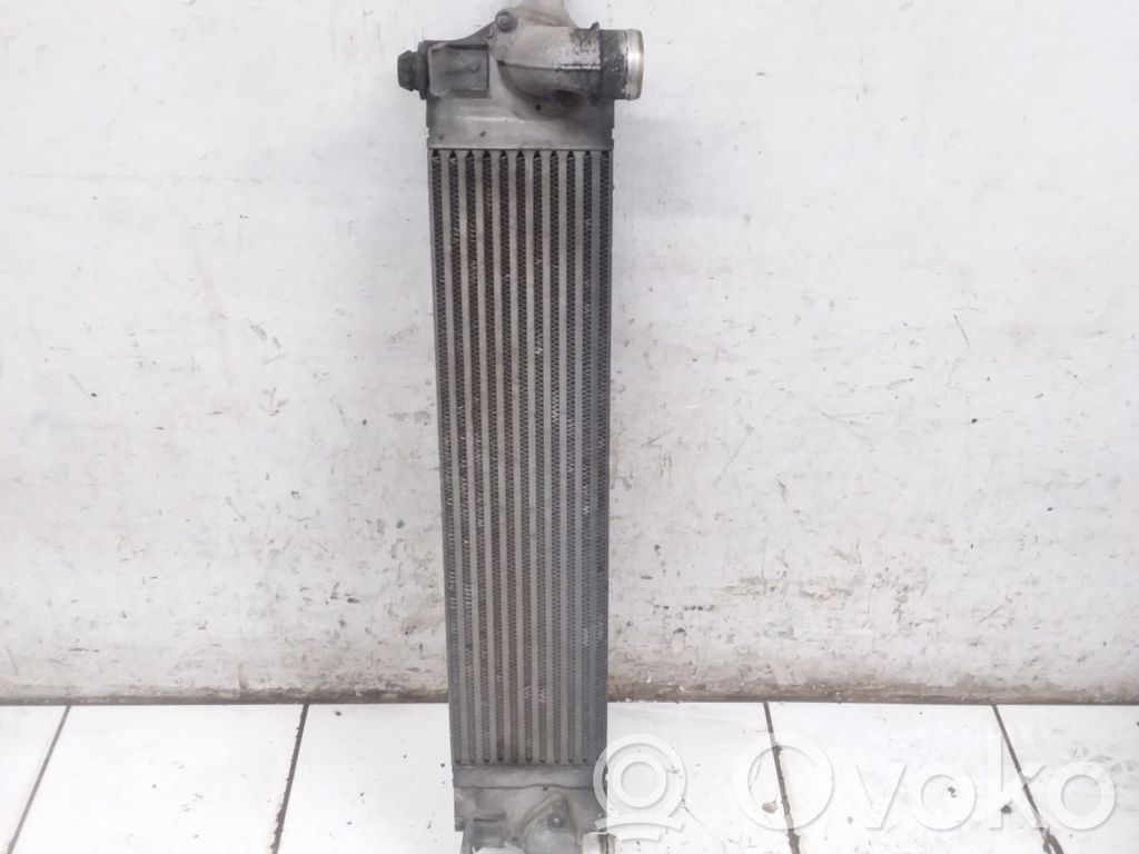 Nissan X-Trail T31 Radiatore intercooler 