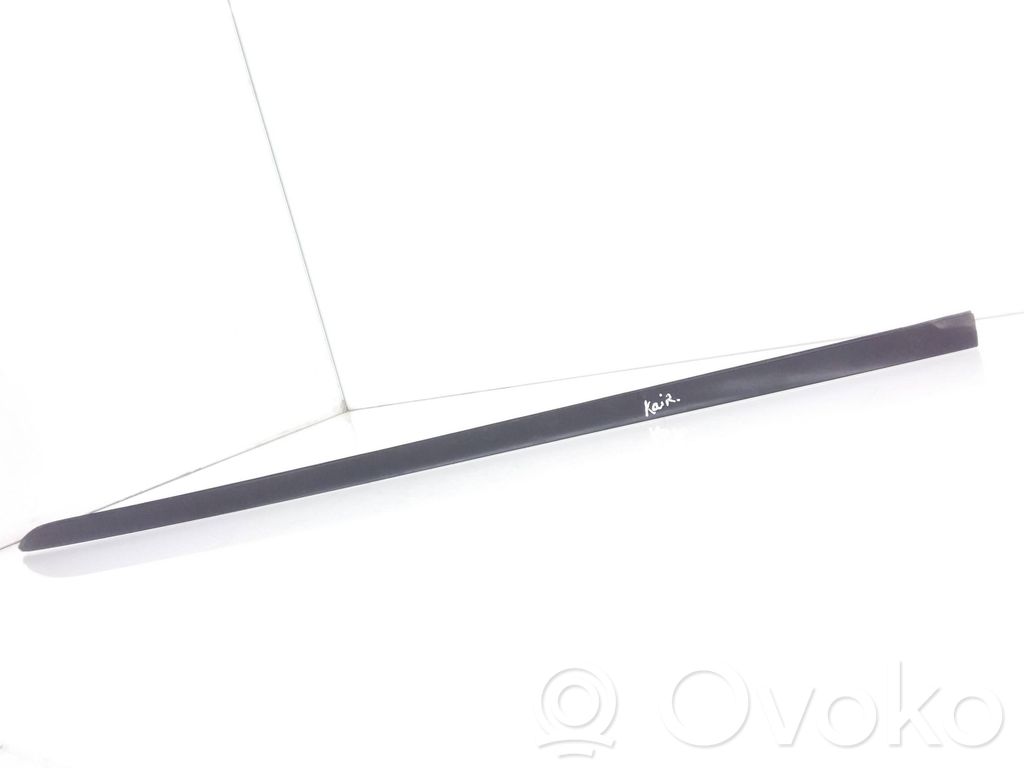 Windshield trim   7045447