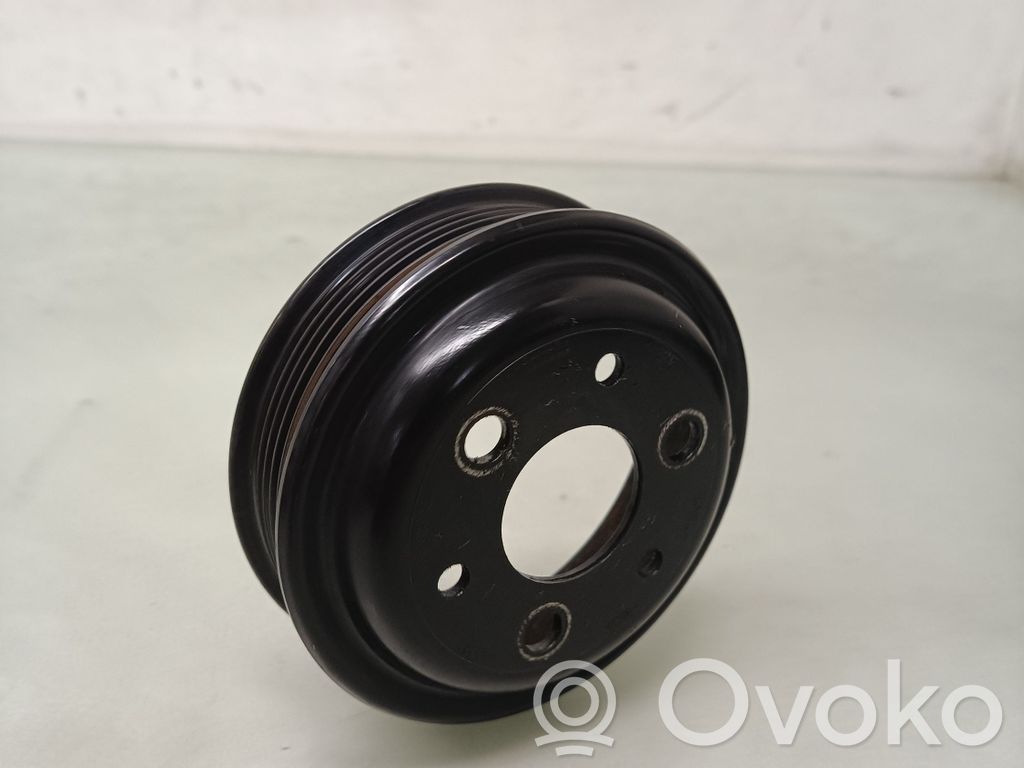 Ford Ecosport Fulie pompă servodirecție 