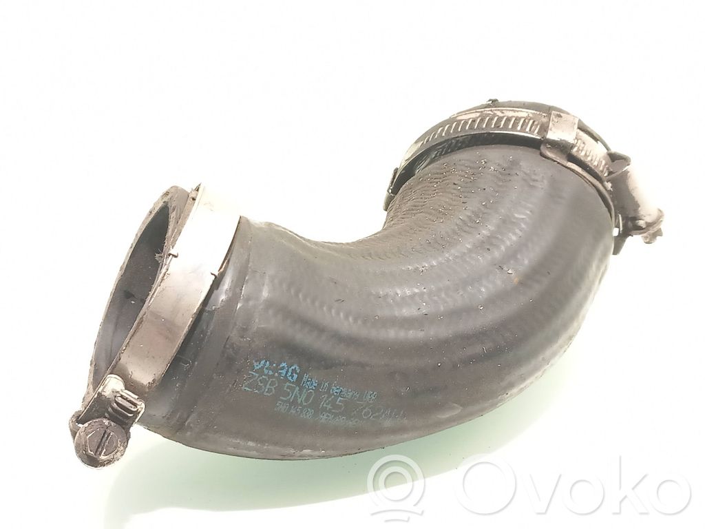 Volkswagen Tiguan Tubo flessibile intercooler 