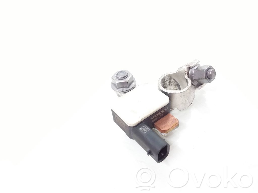 Polestar 2 Cavo negativo messa a terra (batteria) 