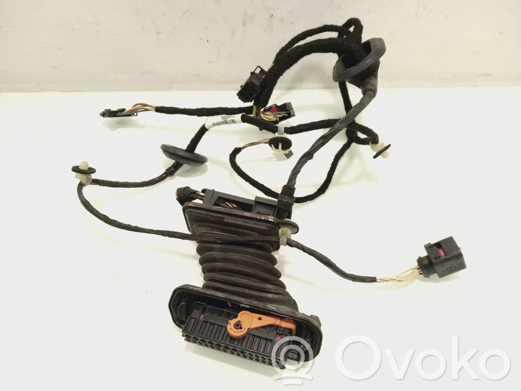 Volkswagen PASSAT B7 Cableado de puerta trasera 