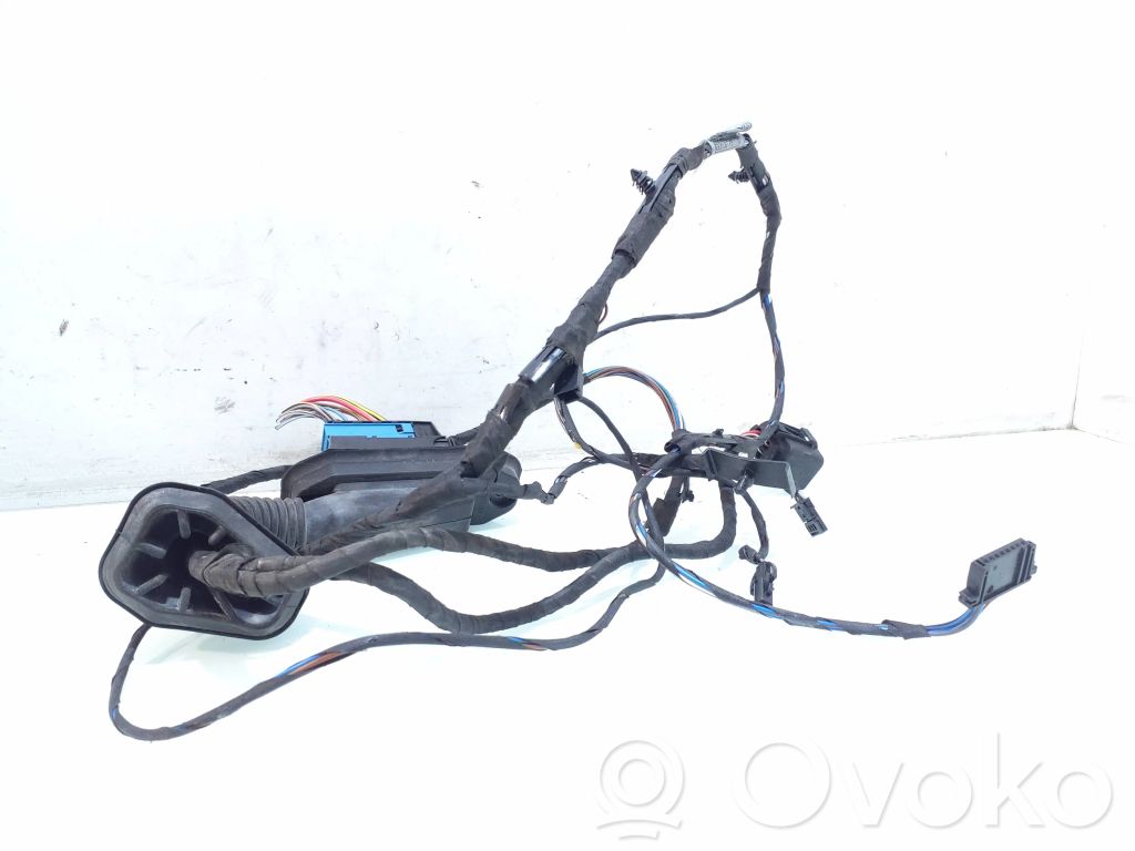 BMW 5 E60 E61 Cableado de puerta trasera 