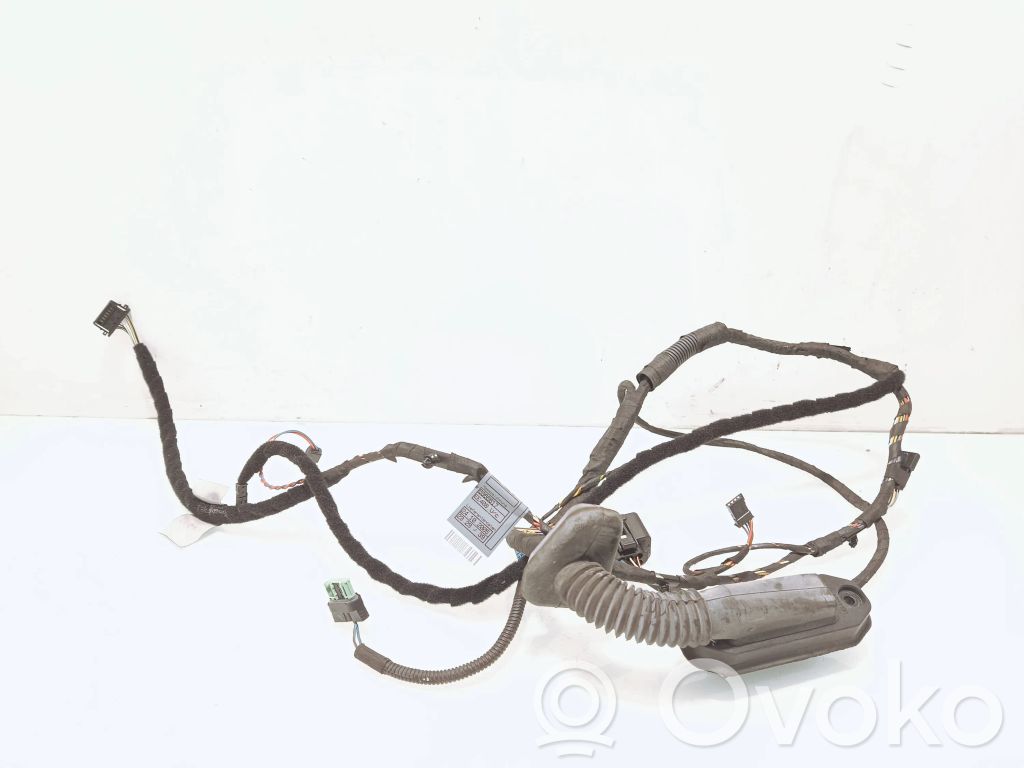 Cableado de puerta delantera   6966617,6966541,14206010