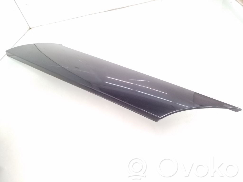 Jaguar XJ X351 Rivestimento in vetro posteriore