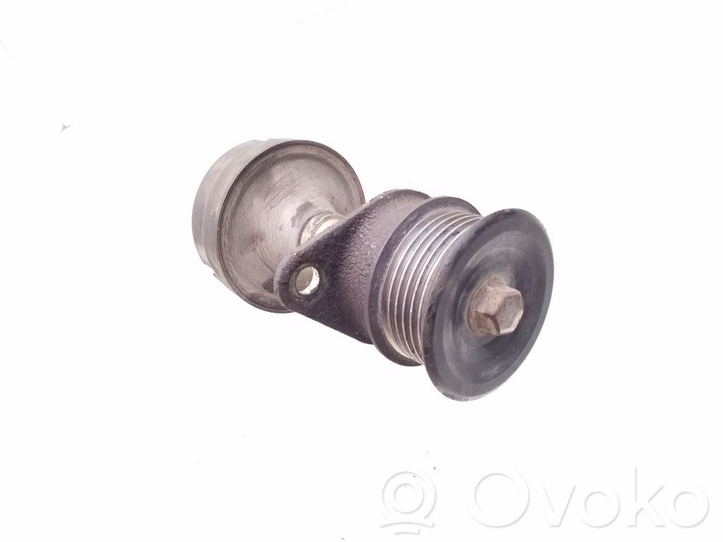 Ford Focus Alternator pulley 