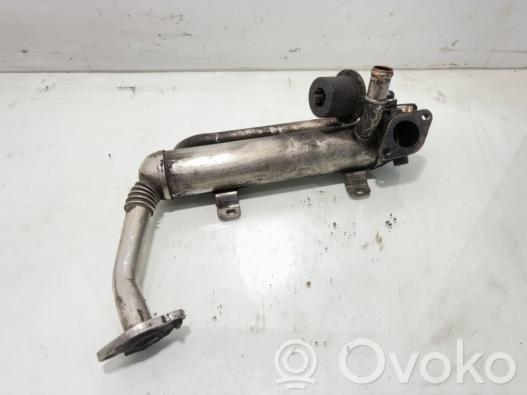 Skoda Octavia Mk2 (1Z) Valvola di raffreddamento EGR
