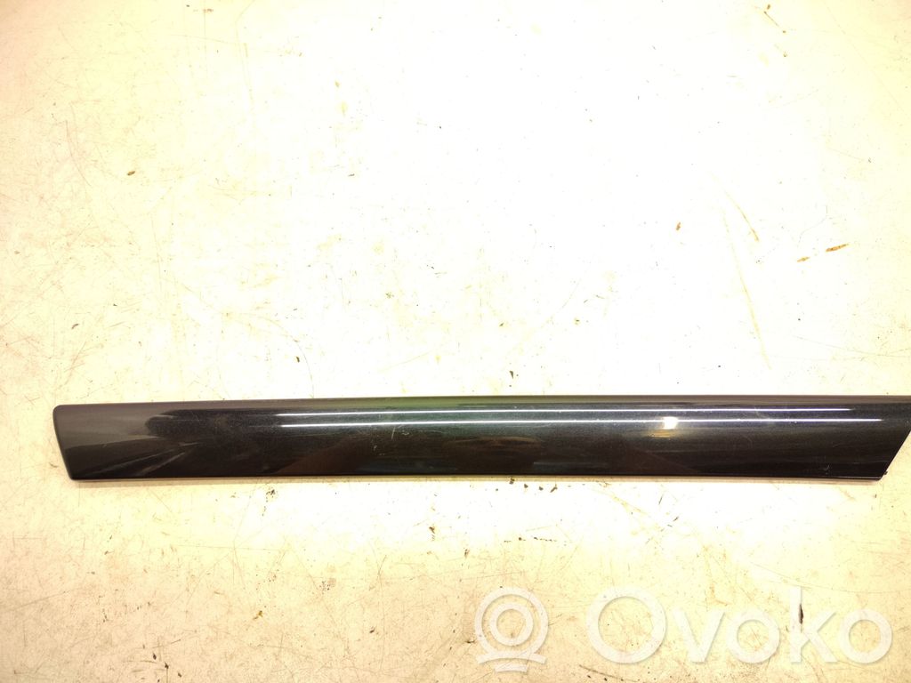 BMW 3 E46 Ramă panou ușă față 
