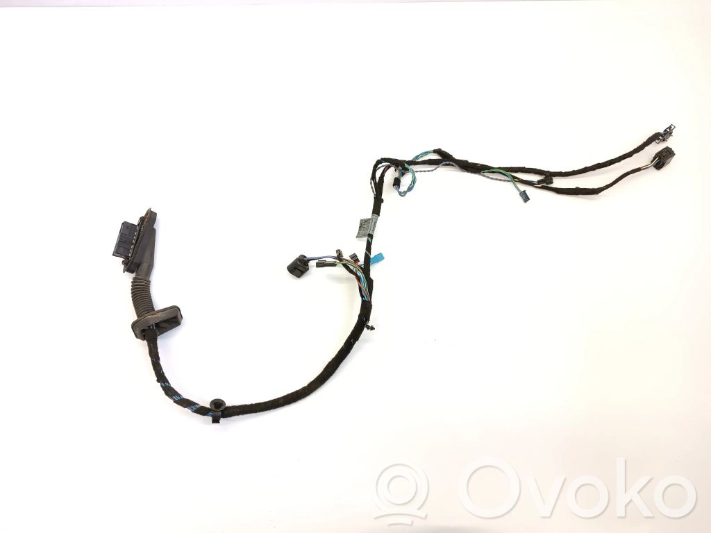 BMW 3 E46 Cableado de puerta delantera 