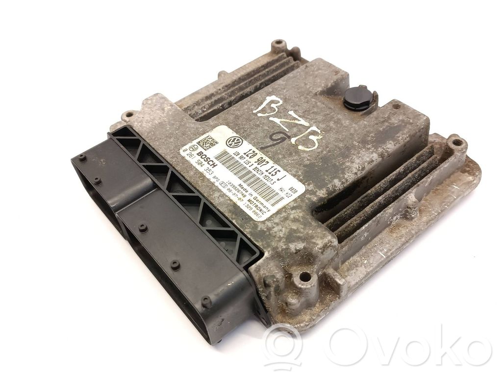 Skoda Octavia Mk2 (1Z) Engine control unit/module 