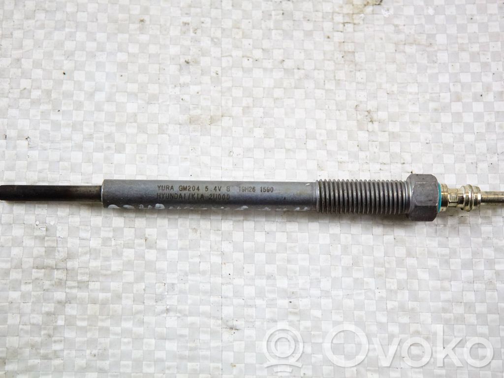 KIA Ceed Glow plug 