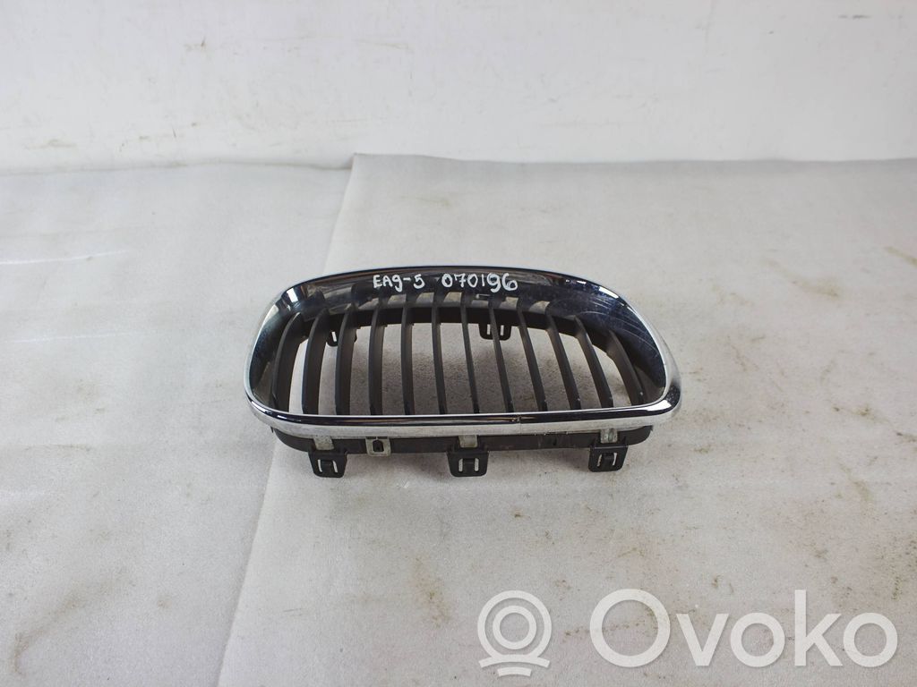 Oberes Gitter vorne   51137166440,7166440