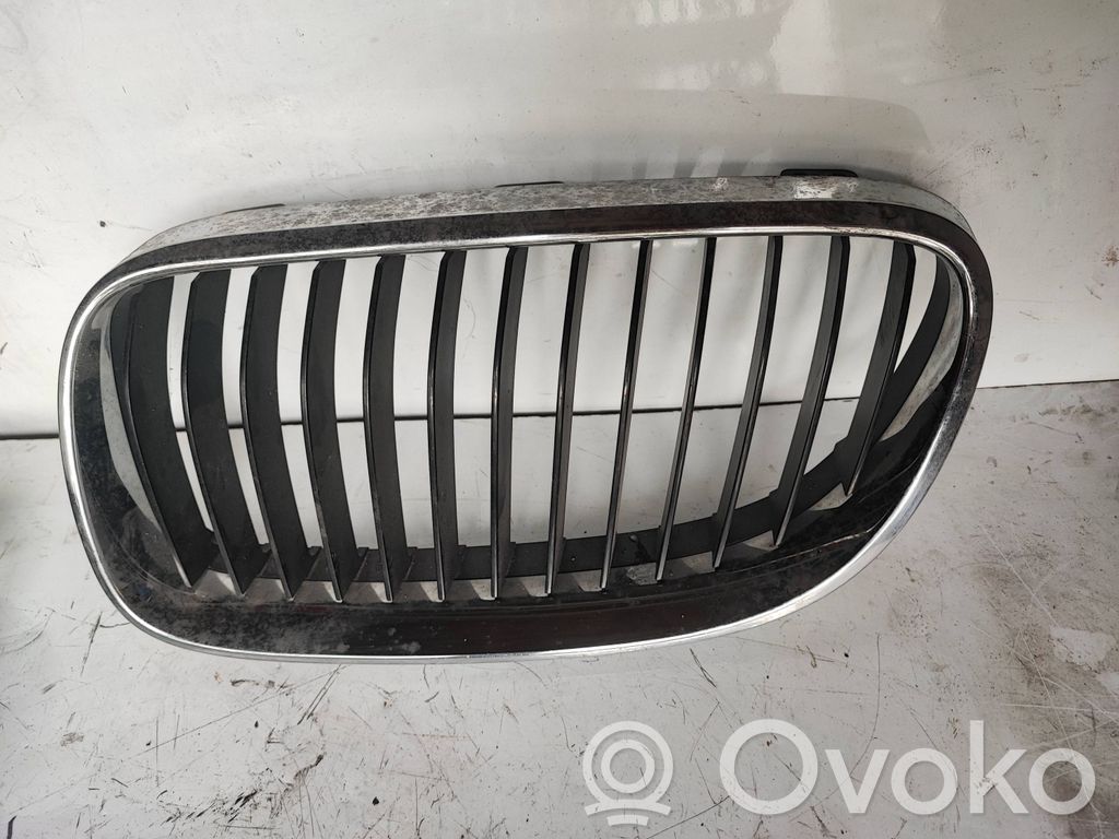 Front bumper upper radiator grill   7254971