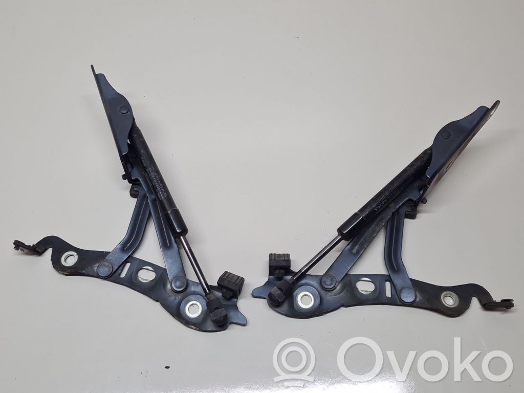 Volvo S60 Tailgate/trunk/boot hinge 