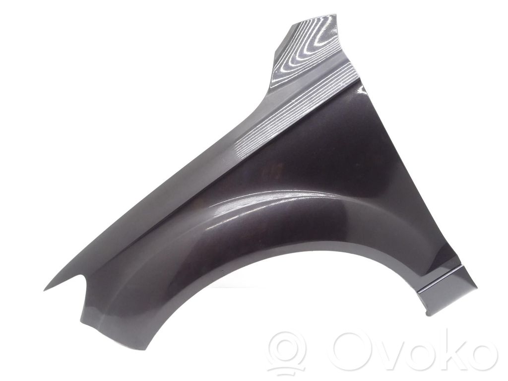 Guardabarro   4L0821105,LZ7L