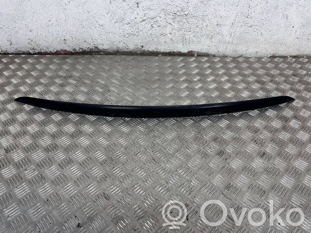 Tailgate trim   103536900D