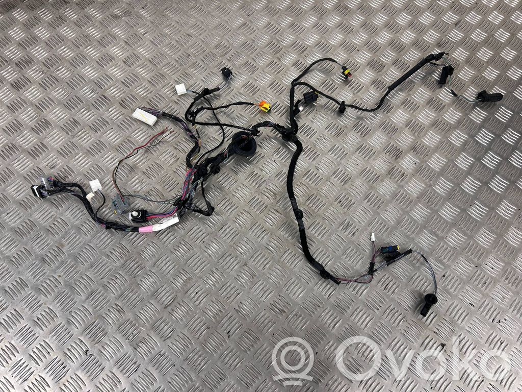 Tesla Model X Cableado de puerta trasera 