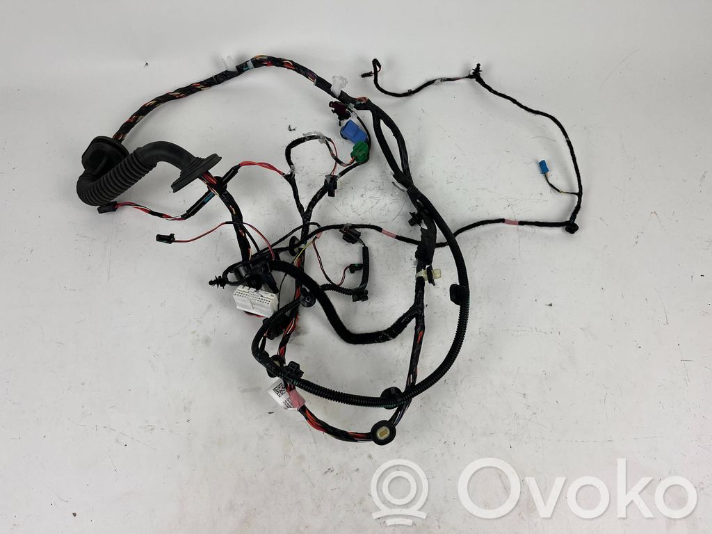 Cableado de puerta delantera   106796300E
