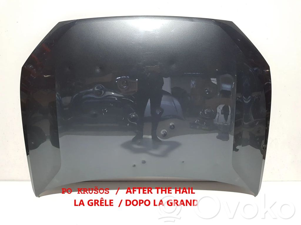 Engine bonnet/hood   81A823029