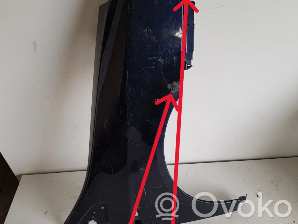 Renault Vel Satis Spārns 