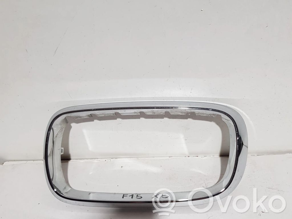 BMW X5 F15 Front grill 