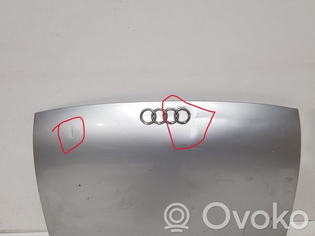 Audi TT Mk1 Puerta del maletero/compartimento de carga 