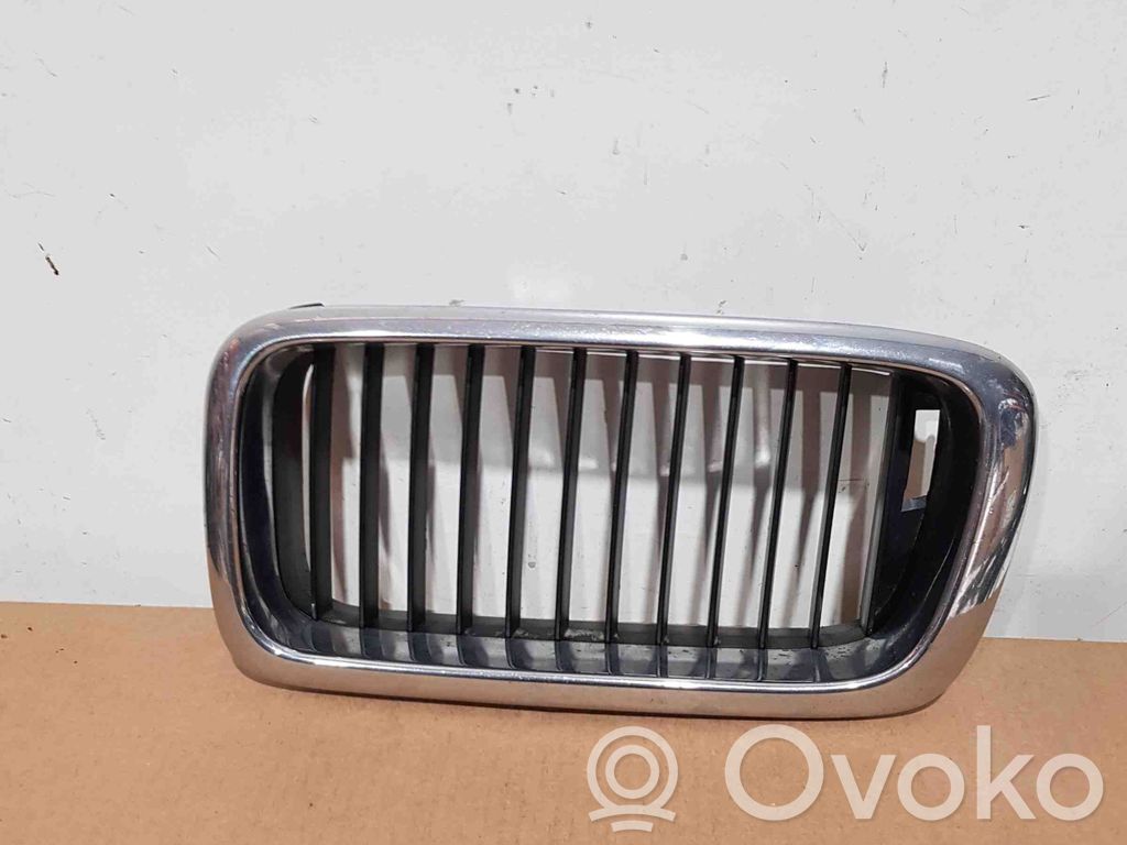 Kühlergrill   51138125811