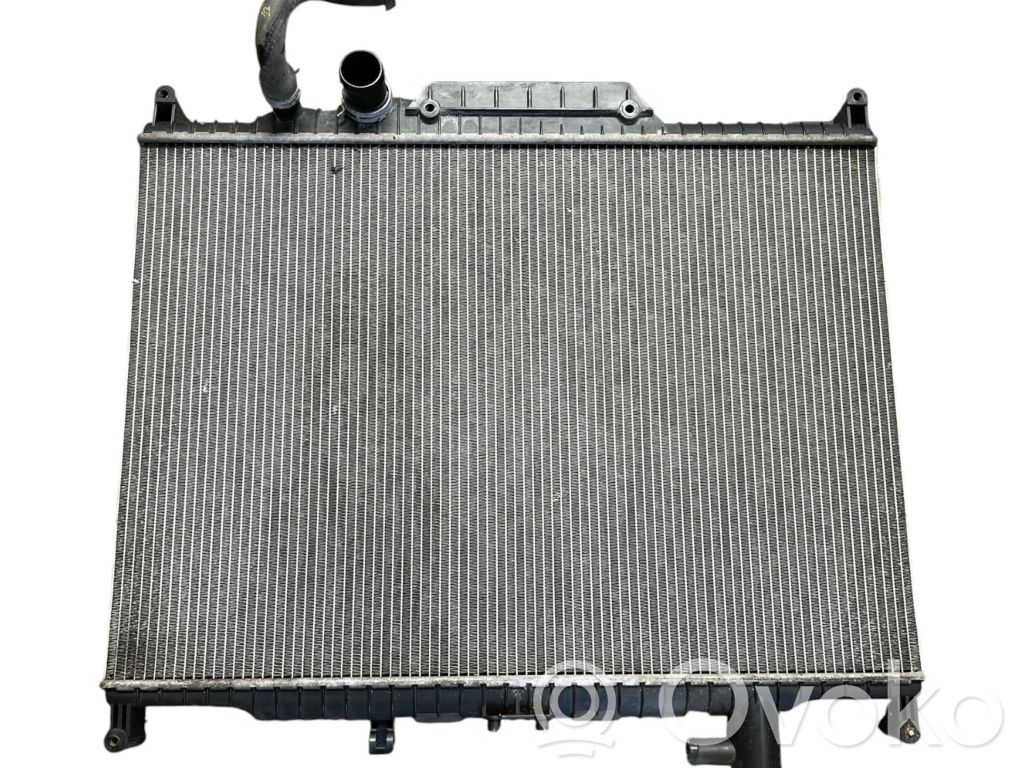Land Rover Range Rover Sport L320 Aušinimo skysčio radiatorius 