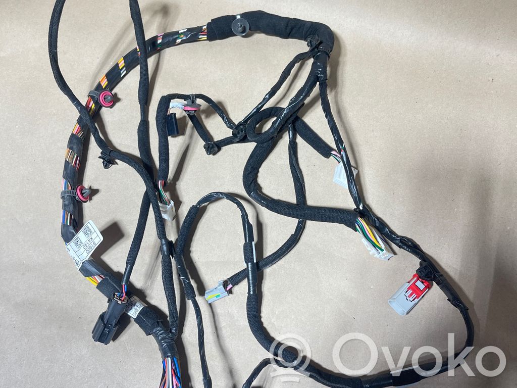 Hyundai Kona I Cableado de puerta delantera 
